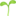 🌱